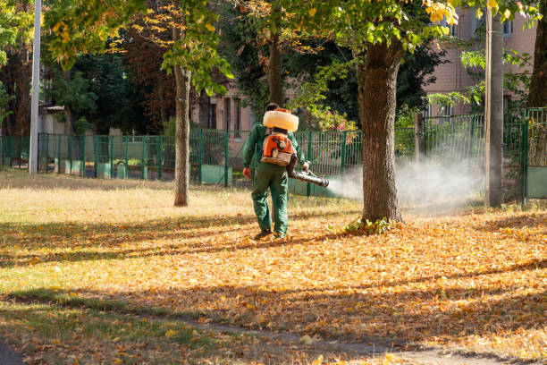 Best Pest Prevention Services  in Marana, AZ
