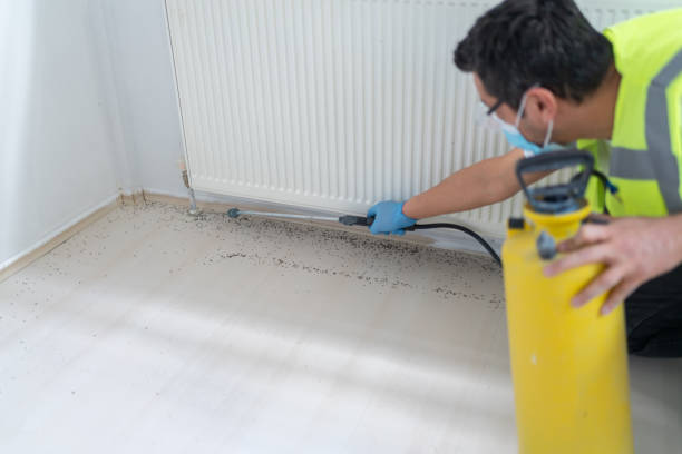 Best Emergency Pest Control  in Marana, AZ